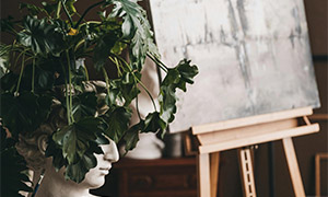 Art Projects & Vernissages