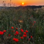 Writing-and-Gastronomy-Retreat-06—002